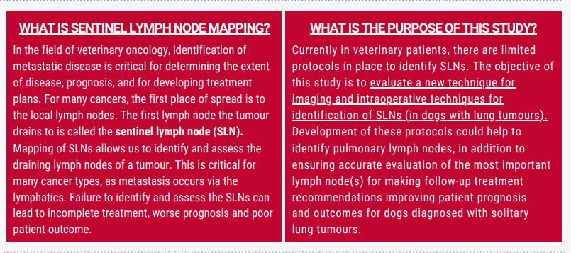 What is sentinal lymph node mapping and what is the purpose of this study?