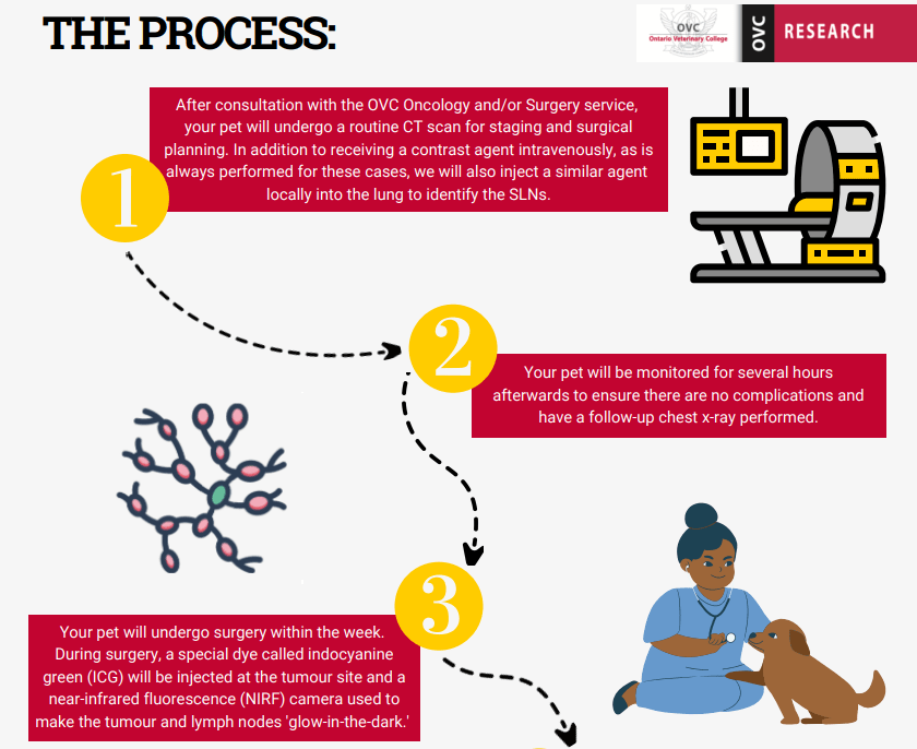 The process steps 1-3